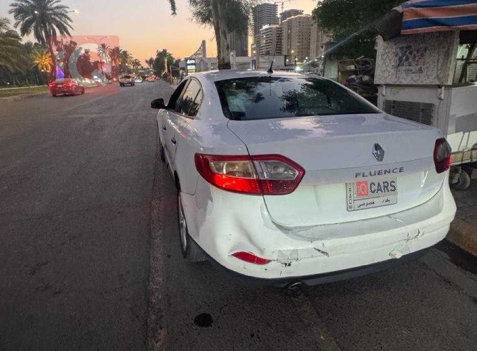 رينو فلوينس